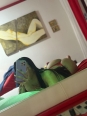 Photo #1